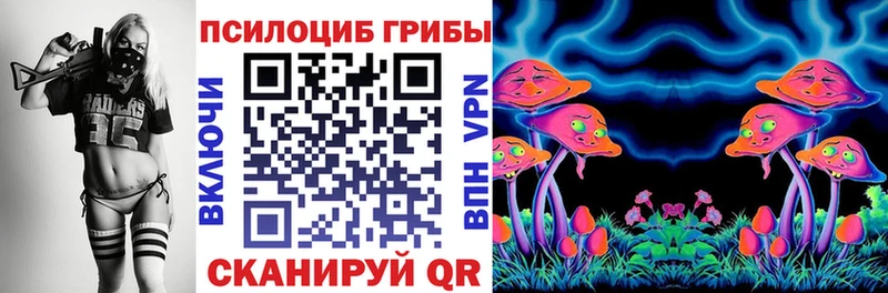Галлюциногенные грибы Cubensis  купить наркоту  Ачинск 